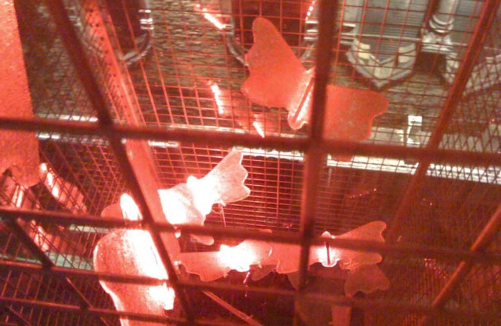THE CAGED FLIGHT-B-2009